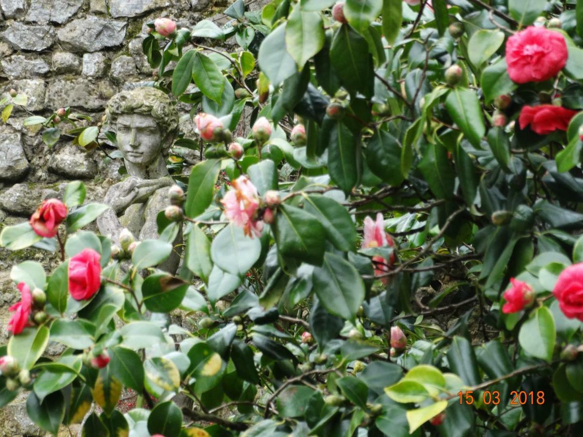 Hotel Particulier "Le Clos De La Croix" Bayeux Exteriör bild